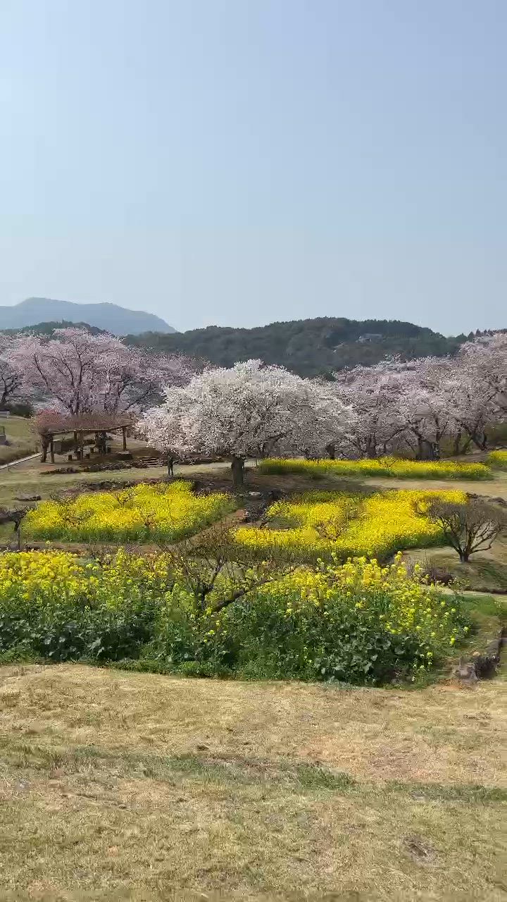「だぁ〜いすきっ！」03/28(土) 13:19 | ゆりの動画日記