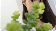 白鳥こはる