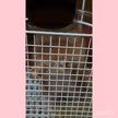  みく